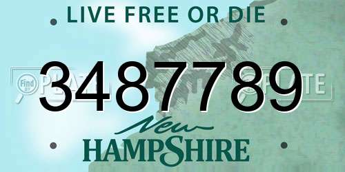 3487789 New Hampshire License Plate