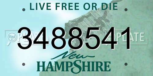 3488541 New Hampshire License Plate