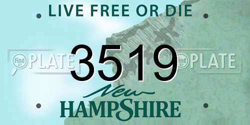 3519 New Hampshire License Plate