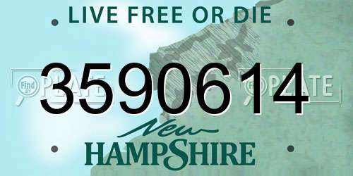 3590614 New Hampshire License Plate