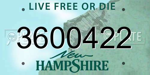 3600422 New Hampshire License Plate