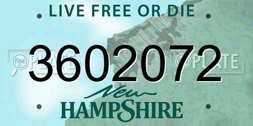 3602072 New Hampshire License Plate