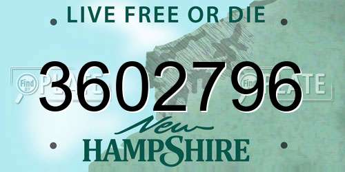 3602796 New Hampshire License Plate