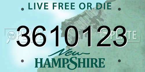 3610123 New Hampshire License Plate