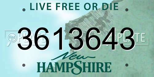 3613643 New Hampshire License Plate