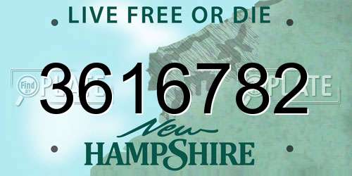 3616782 New Hampshire License Plate
