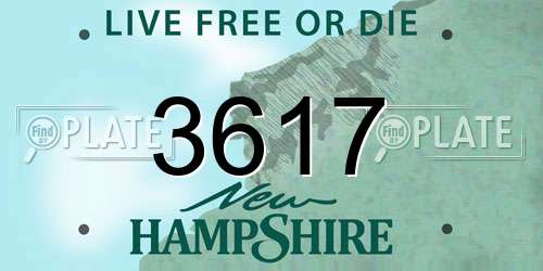 3617 New Hampshire License Plate