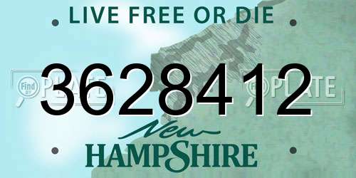 3628412 New Hampshire License Plate