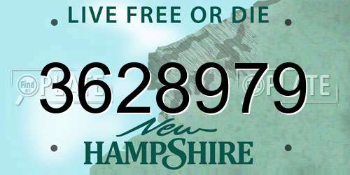 3628979 New Hampshire License Plate