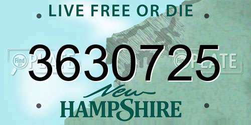 3630725 New Hampshire License Plate