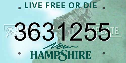 3631255 New Hampshire License Plate