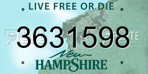 3631598 New Hampshire License Plate