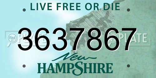 3637867 New Hampshire License Plate