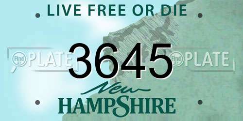 3645 New Hampshire License Plate
