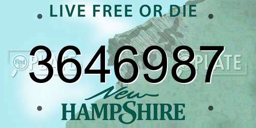 3646987 New Hampshire License Plate