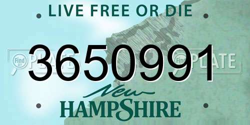 3650991 New Hampshire License Plate