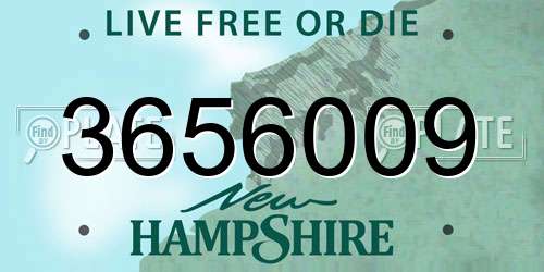 3656009 New Hampshire License Plate