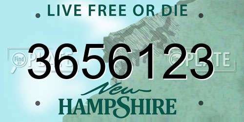 3656123 New Hampshire License Plate