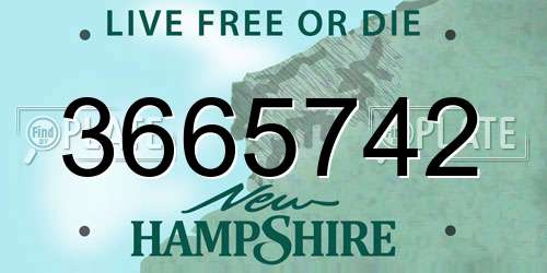 3665742 New Hampshire License Plate