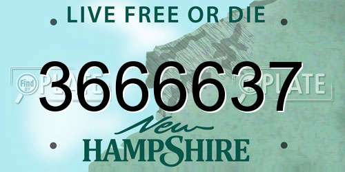 3666637 New Hampshire License Plate