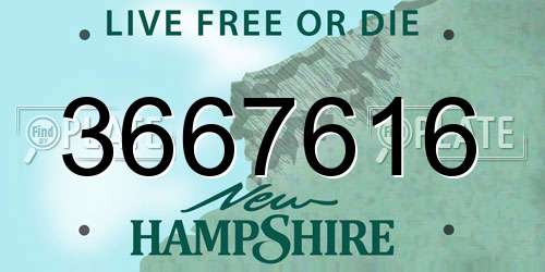 3667616 New Hampshire License Plate
