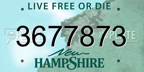 3677873 New Hampshire License Plate
