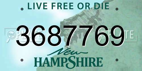 3687769 New Hampshire License Plate