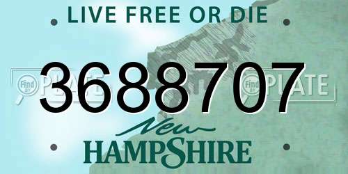 3688707 New Hampshire License Plate
