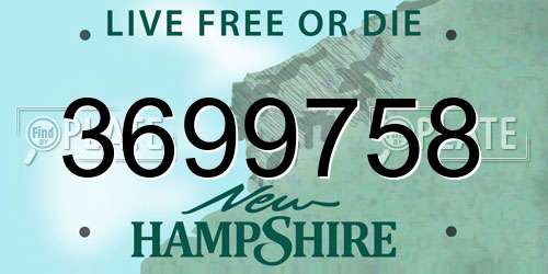 3699758 New Hampshire License Plate