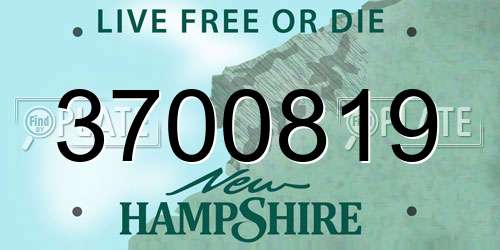 3700819 New Hampshire License Plate