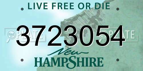 3723054 New Hampshire License Plate