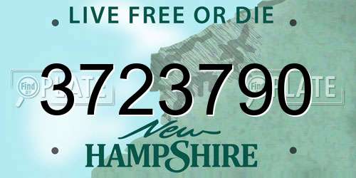 3723790 New Hampshire License Plate