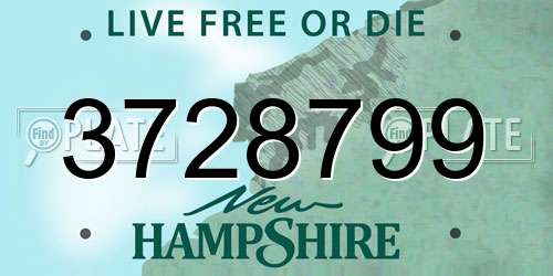 3728799 New Hampshire License Plate
