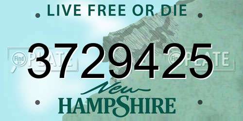 3729425 New Hampshire License Plate