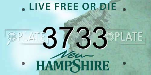 3733 New Hampshire License Plate