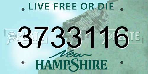 3733116 New Hampshire License Plate