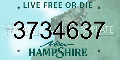 3734637 New Hampshire License Plate