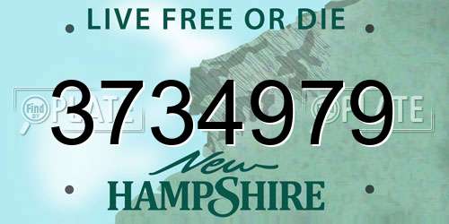 3734979 New Hampshire License Plate