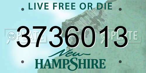 3736013 New Hampshire License Plate