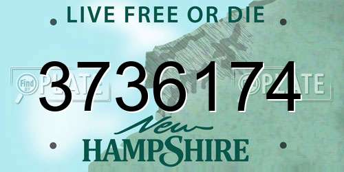 3736174 New Hampshire License Plate