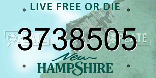 3738505 New Hampshire License Plate