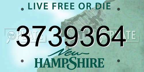 3739364 New Hampshire License Plate