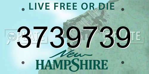 3739739 New Hampshire License Plate
