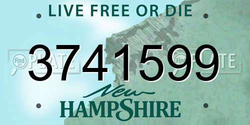 3741599 New Hampshire License Plate