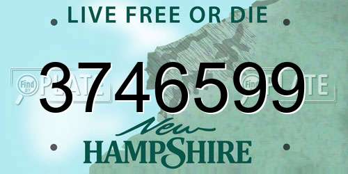 3746599 New Hampshire License Plate