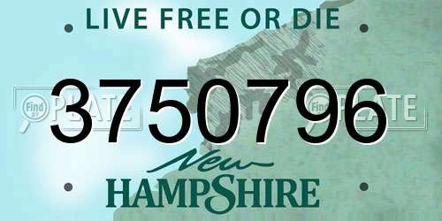 3750796 New Hampshire License Plate