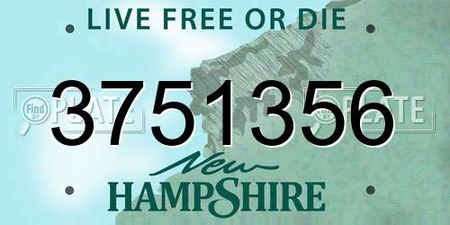 3751356 New Hampshire License Plate