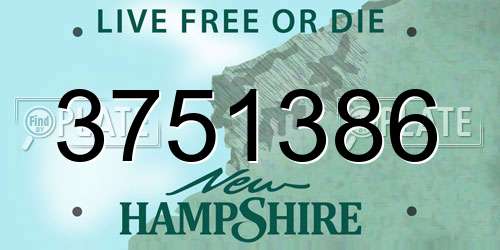 3751386 New Hampshire License Plate