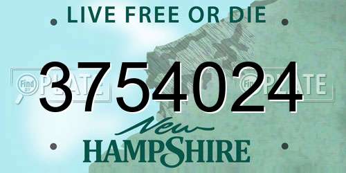 3754024 New Hampshire License Plate