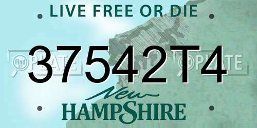 37542T4 New Hampshire License Plate